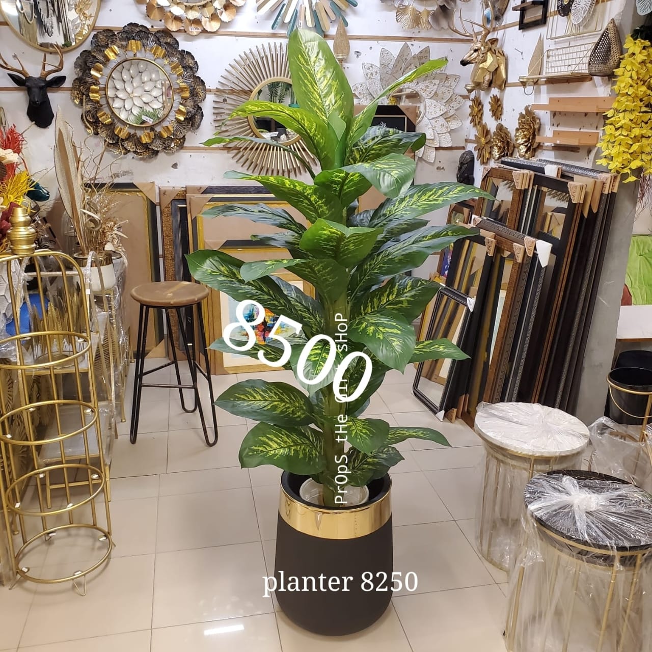 Artificial Dieffenbachia Plant