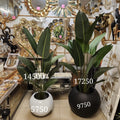 Luxury Faux Bird of Paradise Set with Modern Round Pebble Planter