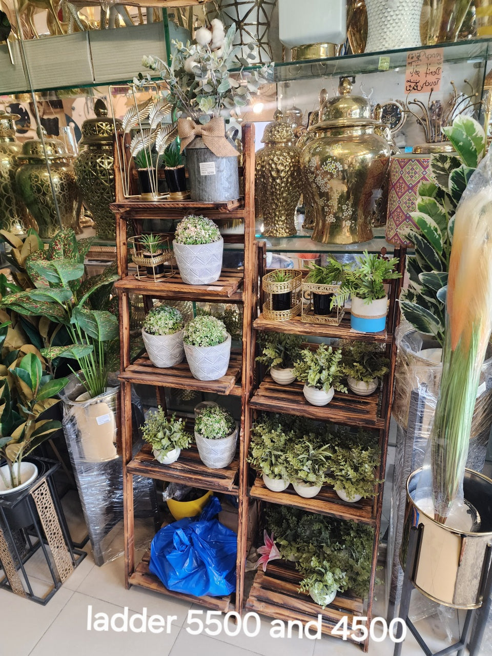 Tiered Ladder Shelf