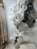 White Cherry Blossom Tree