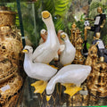 Long-Neck Geese