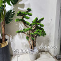 Artificial Pine Bonsai Tree