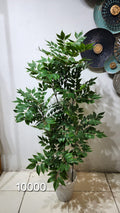 Artificial Ficus or Japanese Bamboo
