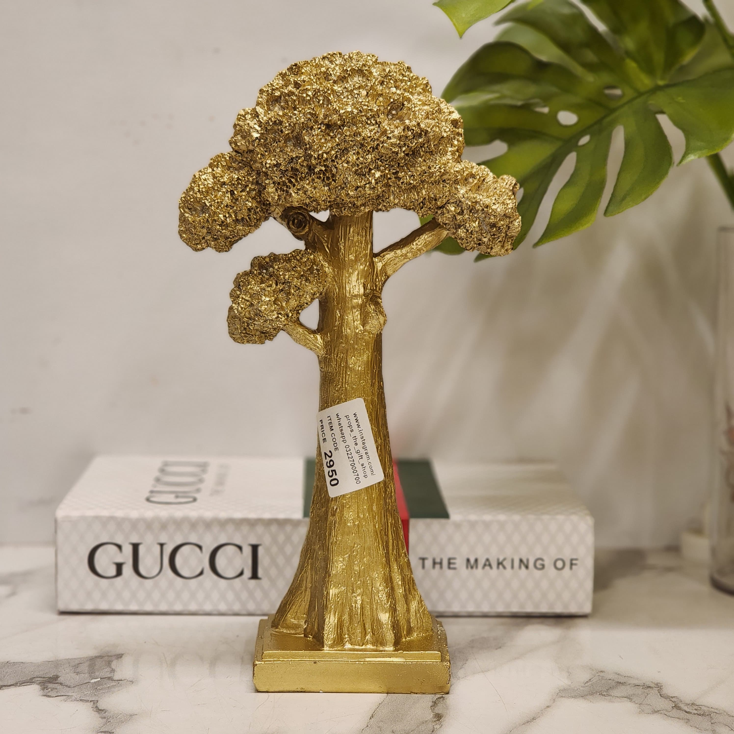Bonsai Podocarpus style tree