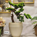 Artificial Bonsai Pine Tree in a Ribbed Planter