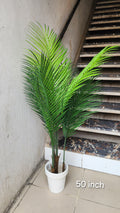 Faux Butterfly Palm