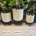 Scallop Planter with Legs