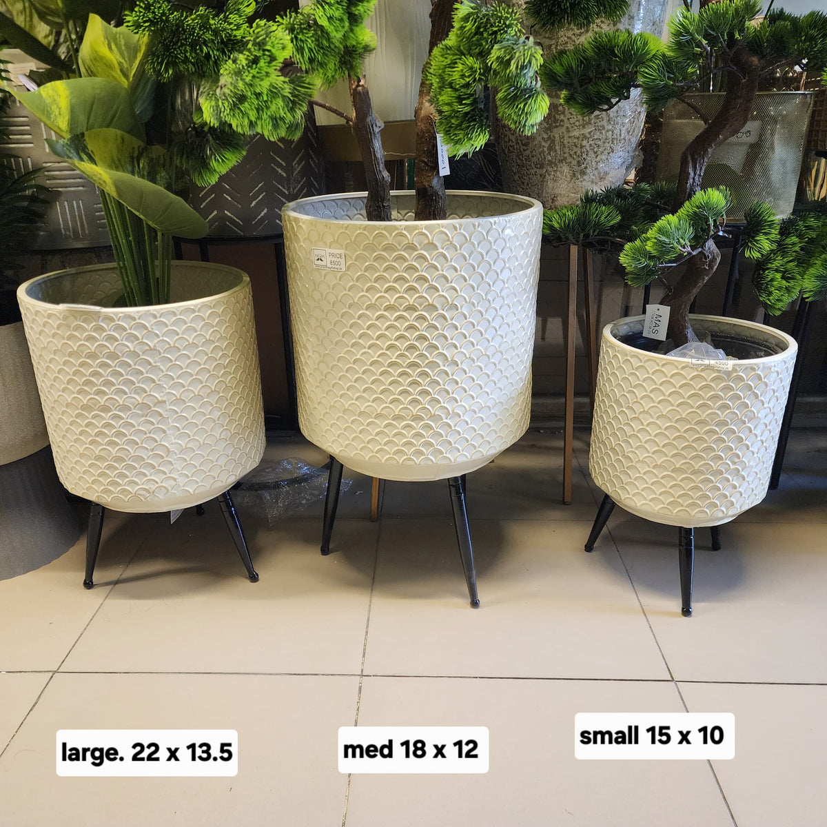 Scallop Planter with Legs