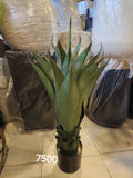 artificial Agave Plant