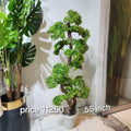 Giant Artificial Podocarpus Bonsai Tree