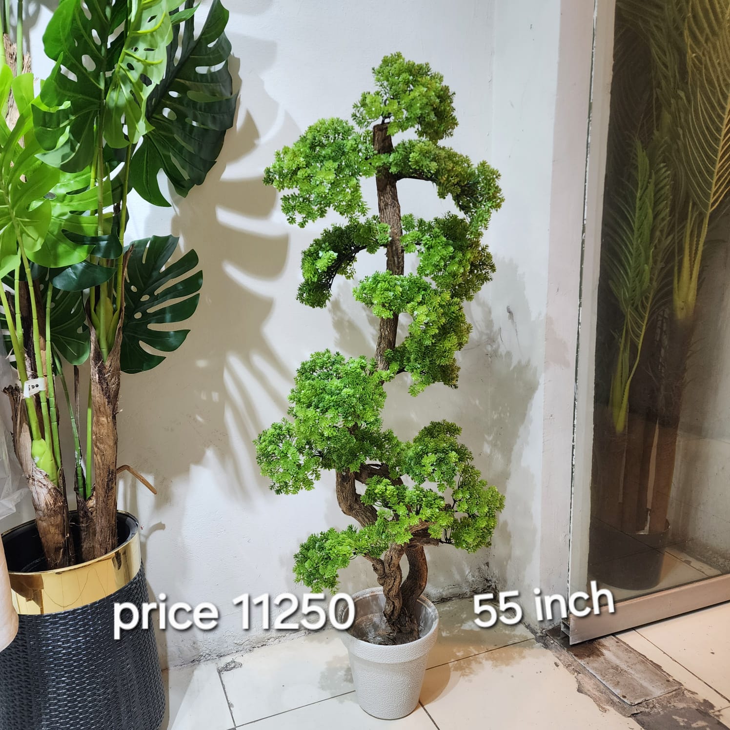 Giant Artificial Podocarpus Bonsai Tree