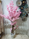 Cherry Blossom Tree