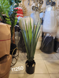 artificial agave Plant