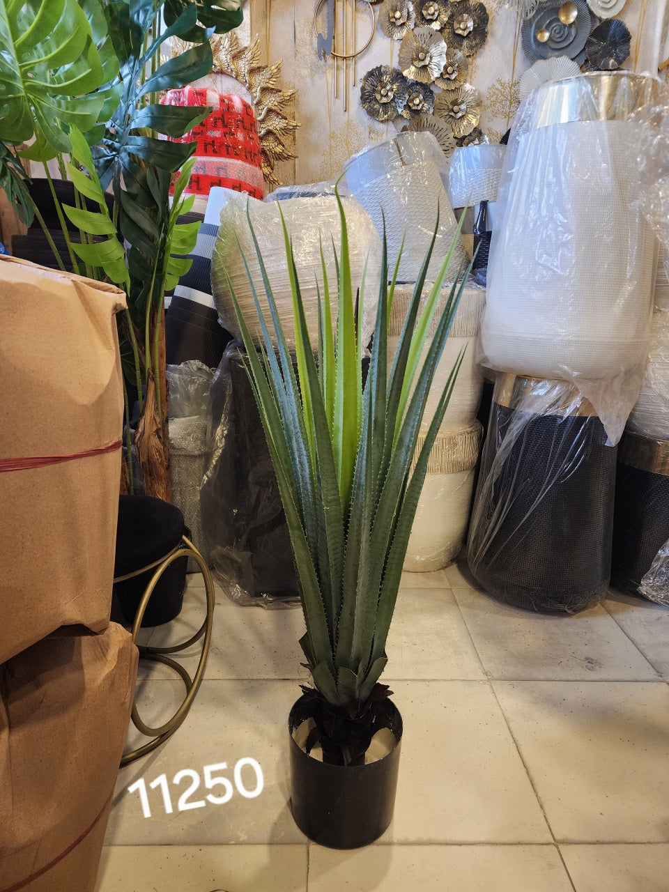 artificial agave Plant