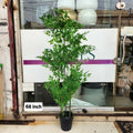 Artificial Bamboo Leaf Tree