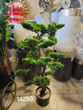 artificial pine bonsai tree.