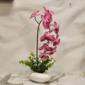 Magenta Veined Phalaenopsis White Ceramic Pebble Bowl