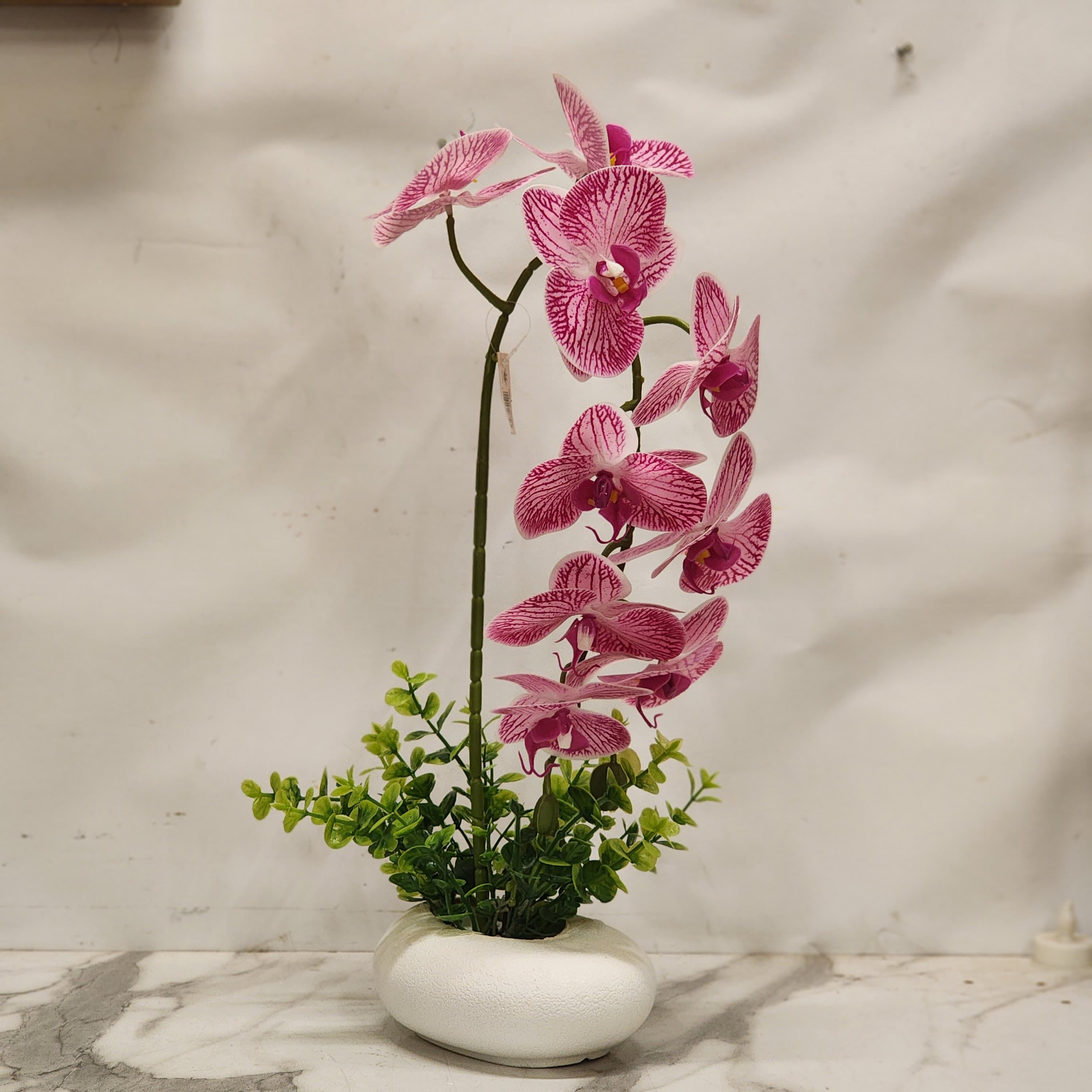 Magenta Veined Phalaenopsis White Ceramic Pebble Bowl