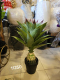 artificial agave plant.