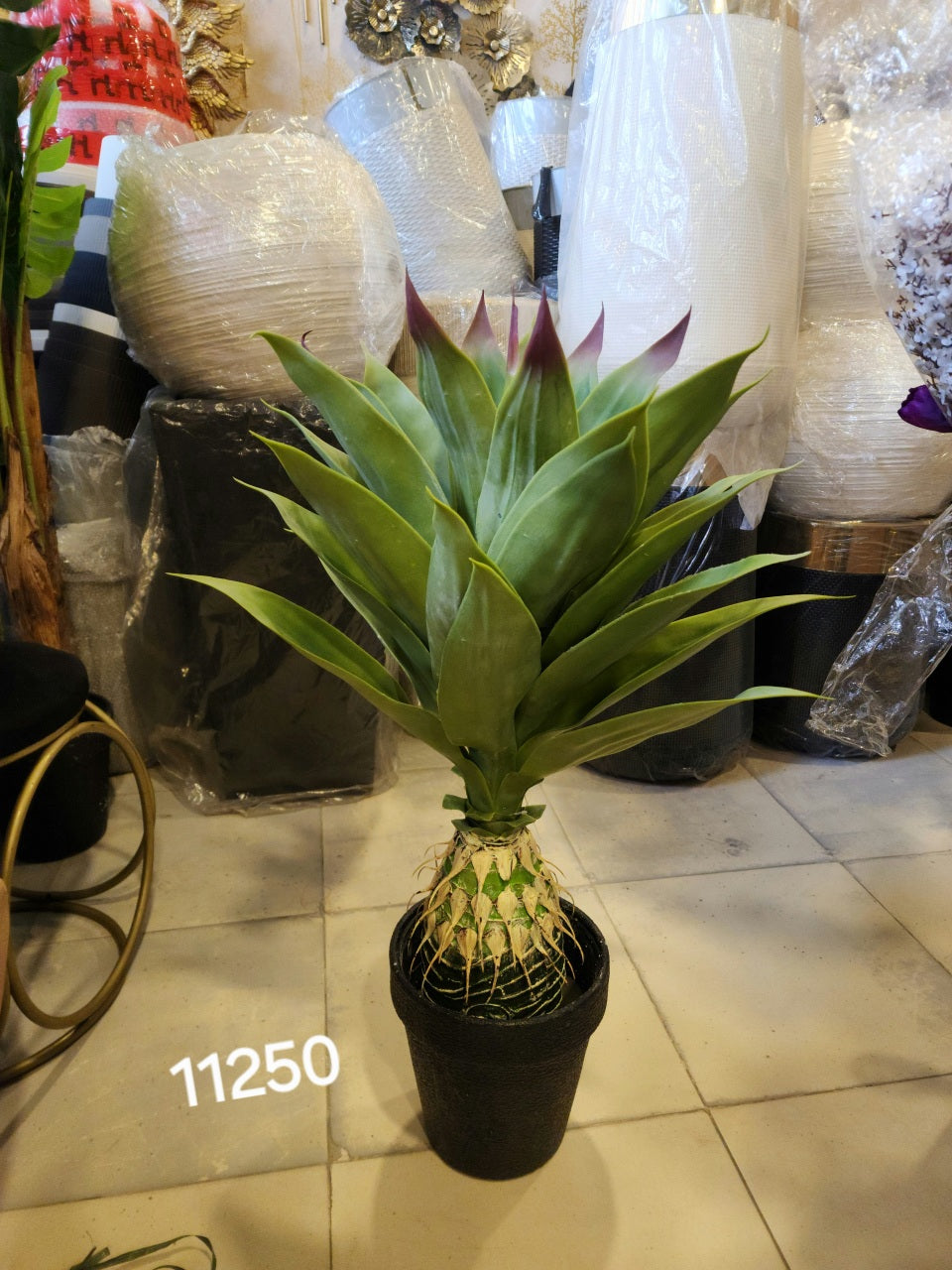 artificial agave plant.