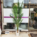 artificial Areca Palm