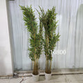 Bamboo tree