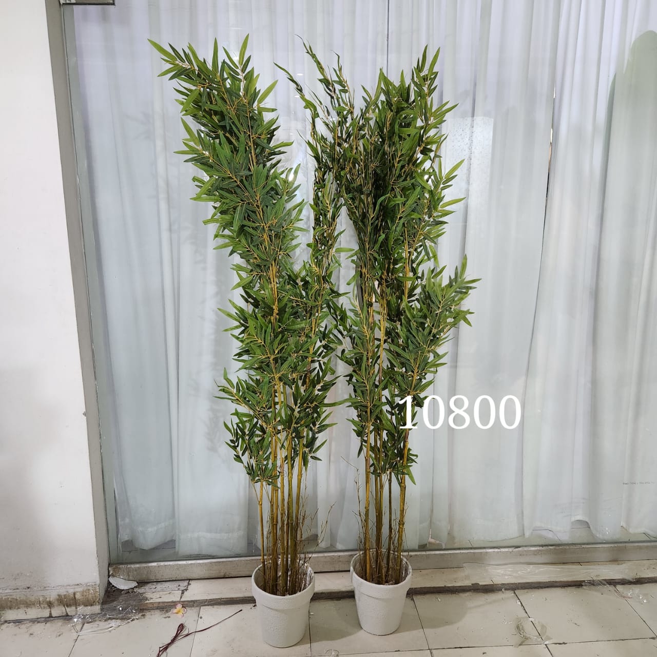 Bamboo tree