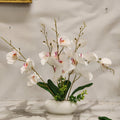 White Phalaenopsis Orchid Arrangement in a Low Ceramic Bowl Pot