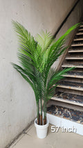 Faux Butterfly Palm