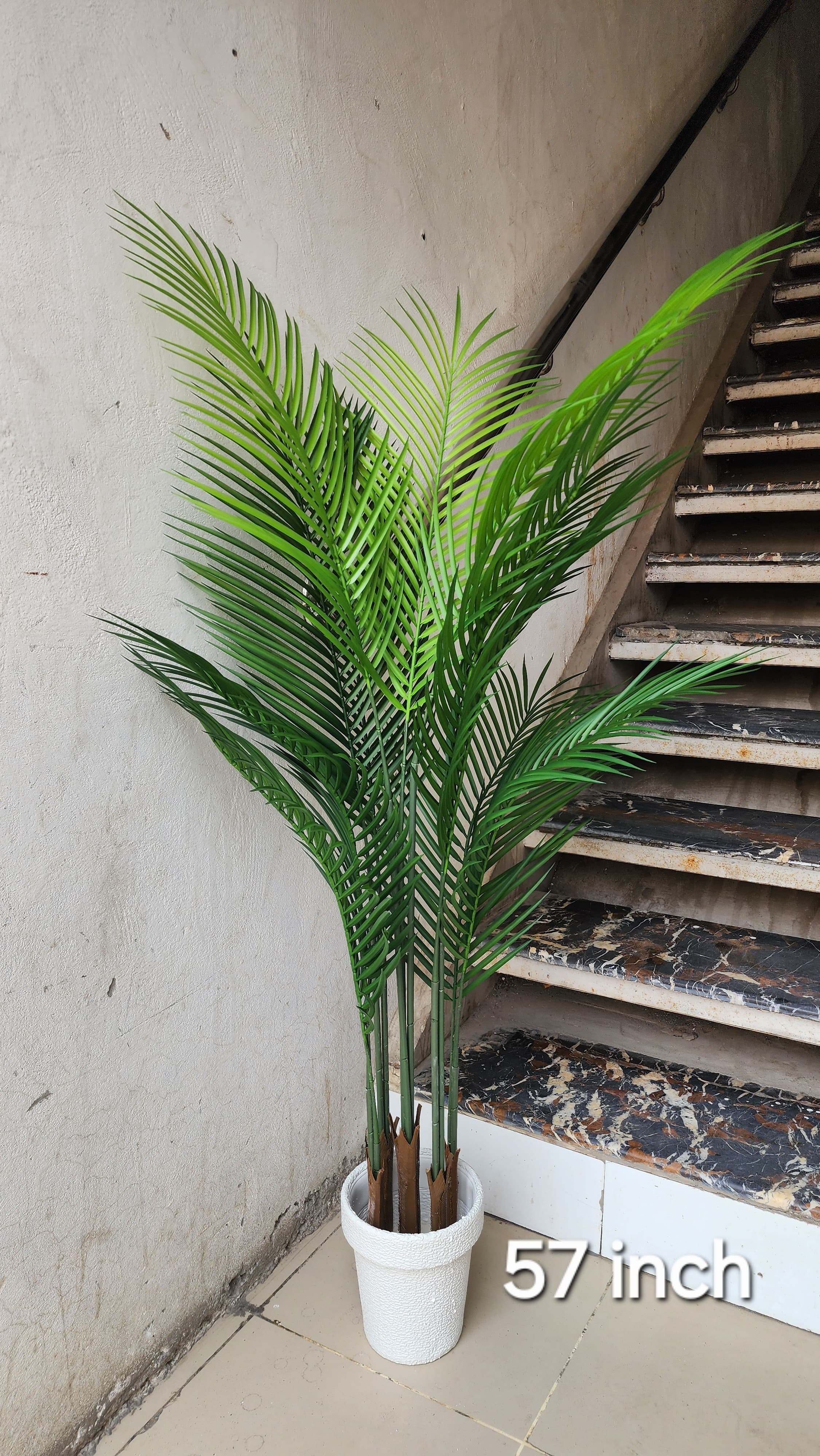 Faux Butterfly Palm