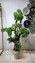 Artificial Juniper Podocarpus Bonsai Tree