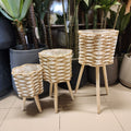 Woven Basket Plant Stands or Seagrass Tripod Planters