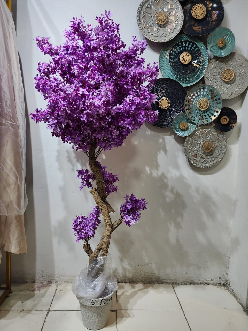 Purple Cherry Blossom Tree