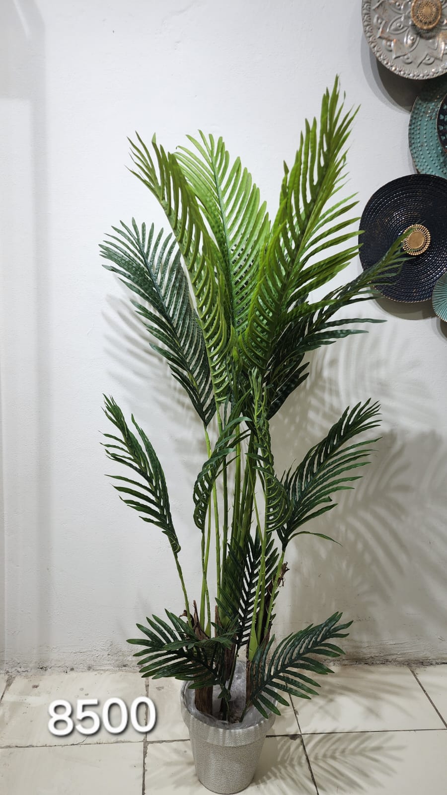 Butterfly Palm or Golden Cane Palm