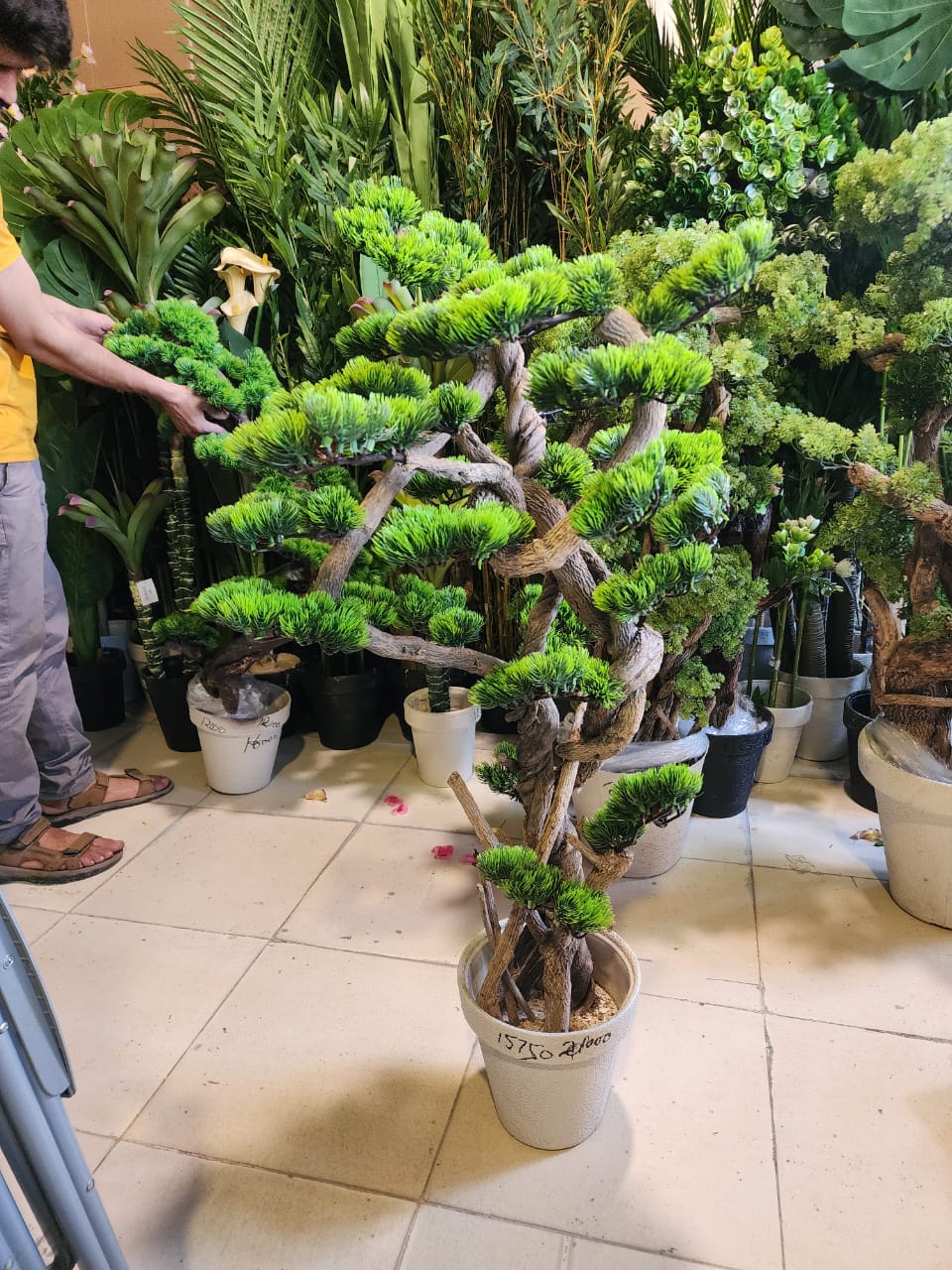 artificial bonsai tree