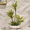 artificial tabletop Dracaena arrangement