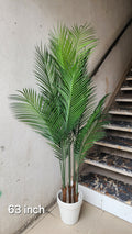 Faux Butterfly Palm