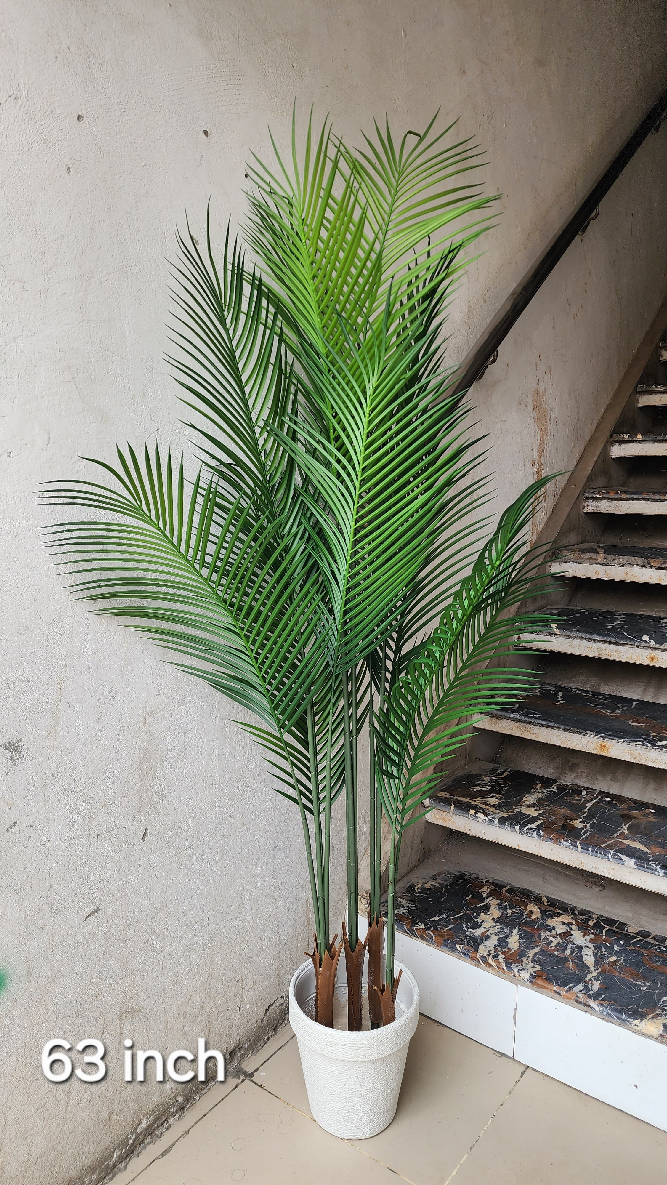 Faux Butterfly Palm