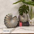 Nautilus Shell Vases