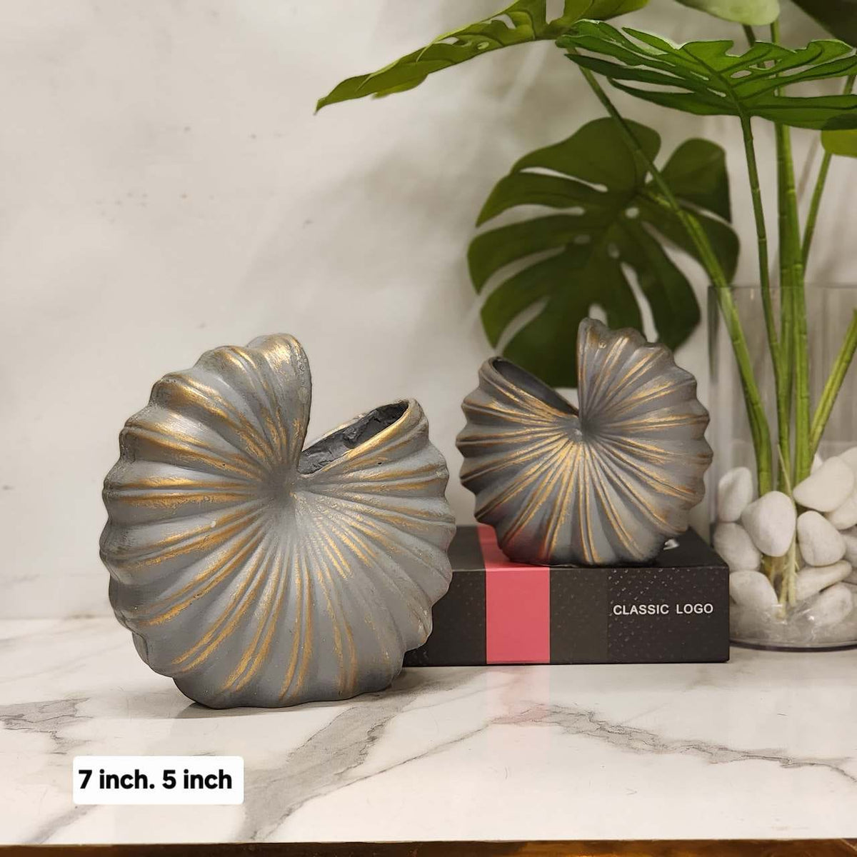 Nautilus Shell Vases