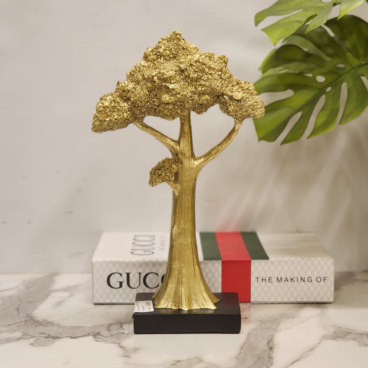 Cloud Podocarpus style tree