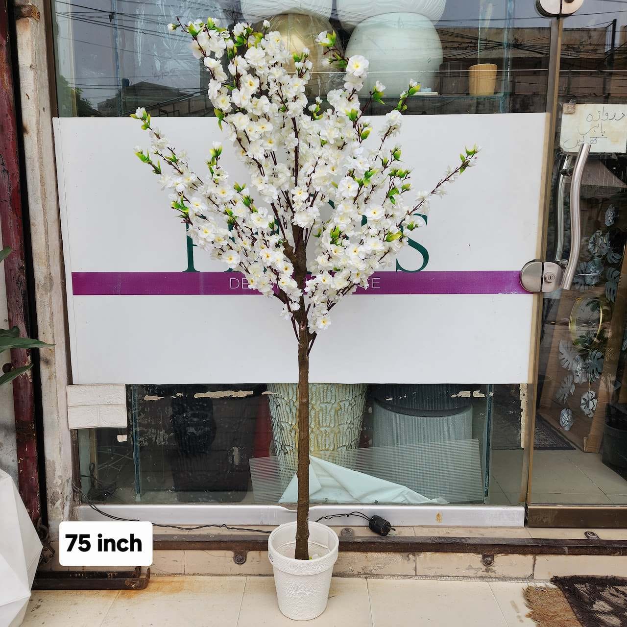 White Cherry Blossom Tree