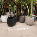 fluted planters