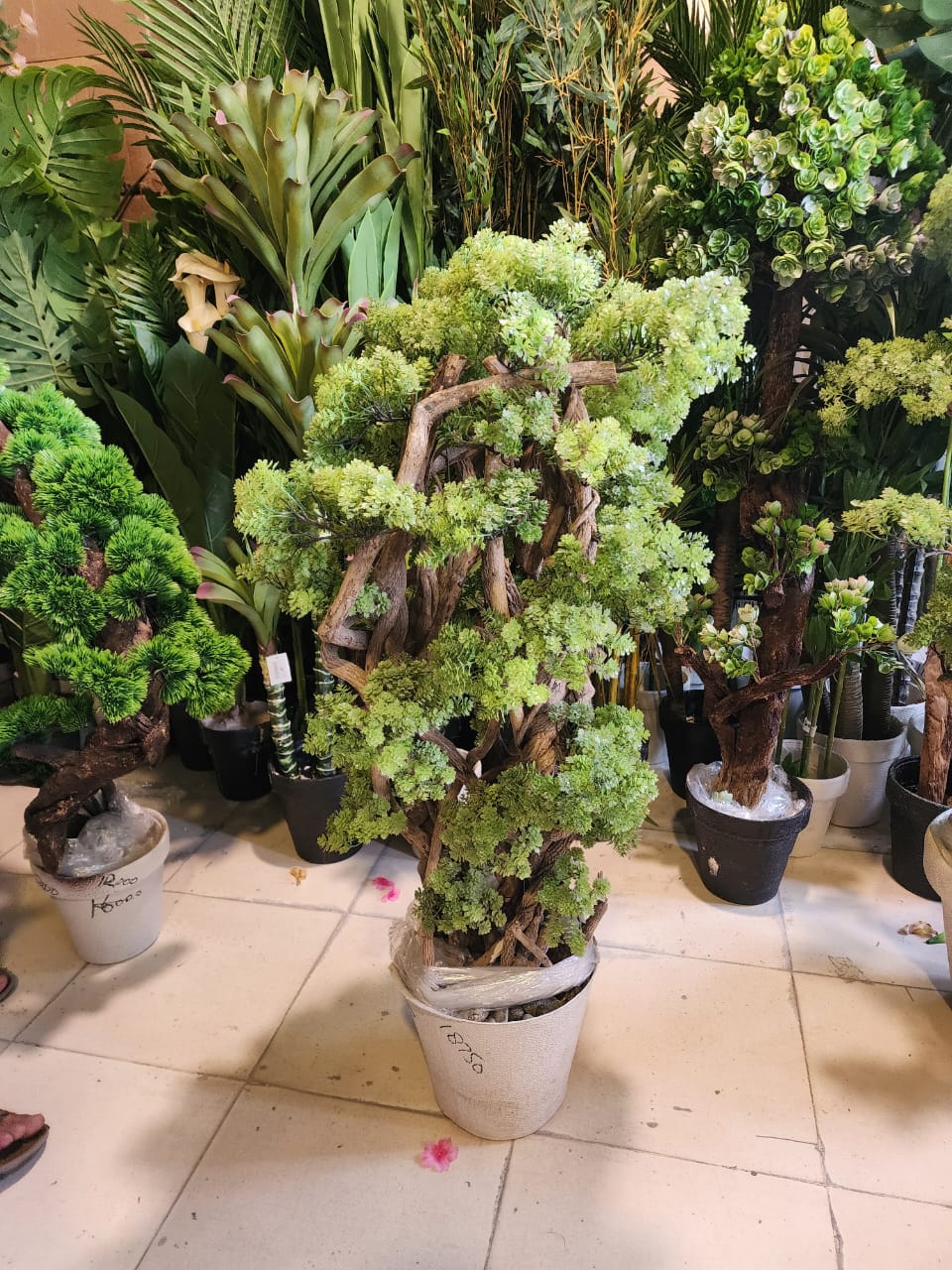 decorative bonsai-style tree