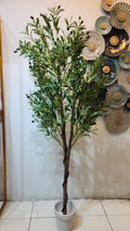 Narrow, elongated, grayish-green leaves. Olive tree