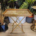 Folding Tray Table