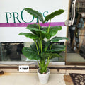 artificial Alocasia plant