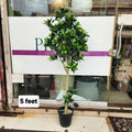 Artificial Camellia Tree