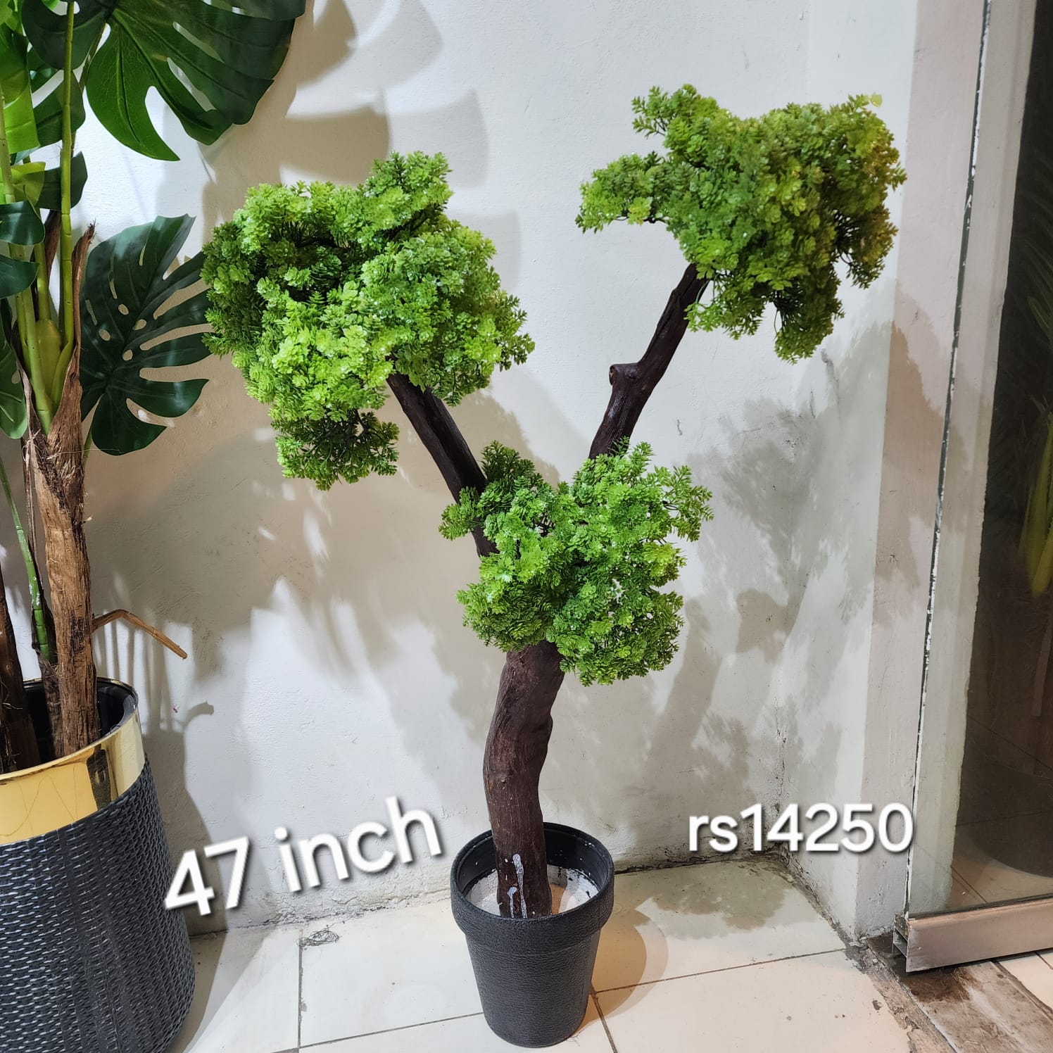 Bonsai Cloud Tree