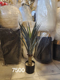Faux Agave plant